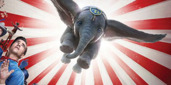 600x300-dumbo