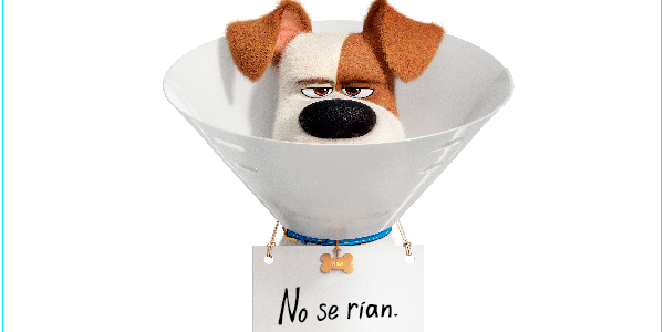 1-MASCOTAS